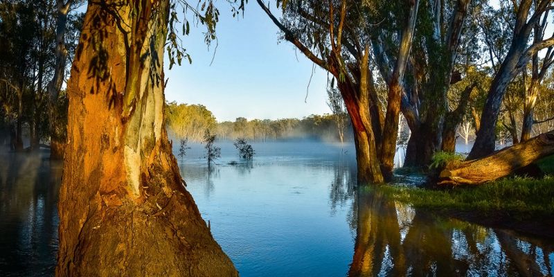 MurrayRiver Murray River